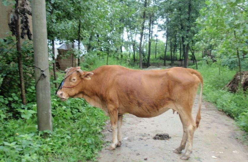 阿里最新求一个套医保卡的黄牛是真的吗方法分析(最方便真实的阿里求一个套医保卡的黄牛是真的吗还是假的方法)